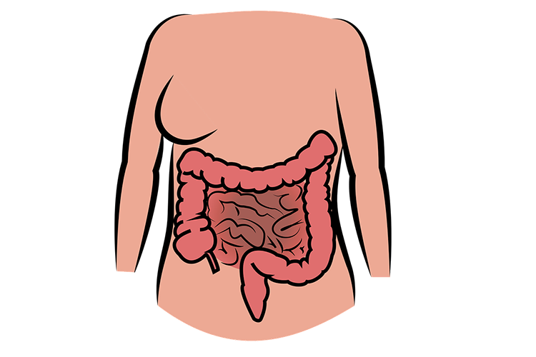 Болезни кишечника: причины заболеваний кишечника, симптомы болезней, что делать